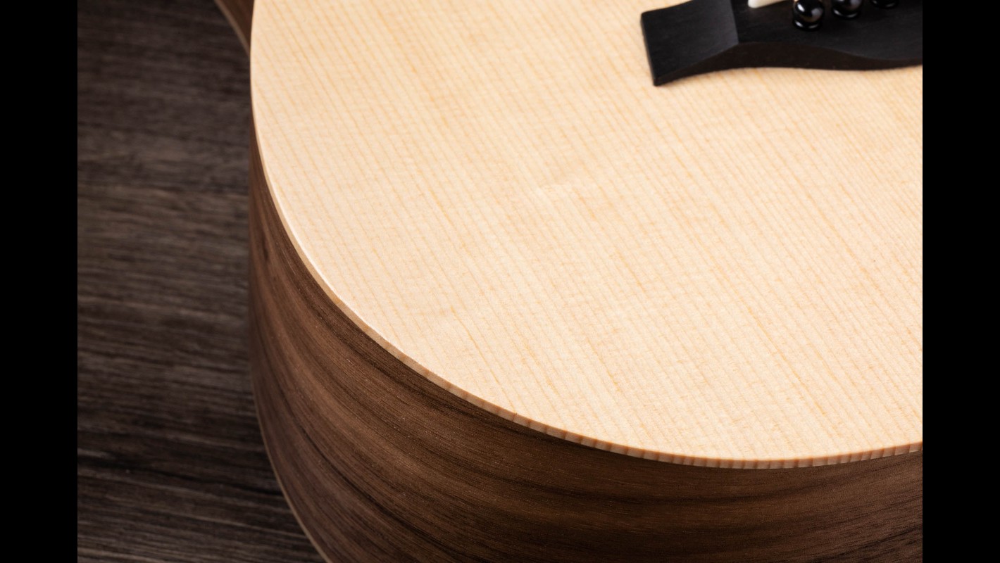 BT1e Acoustic-Electric Guitar | Taylor Guitars